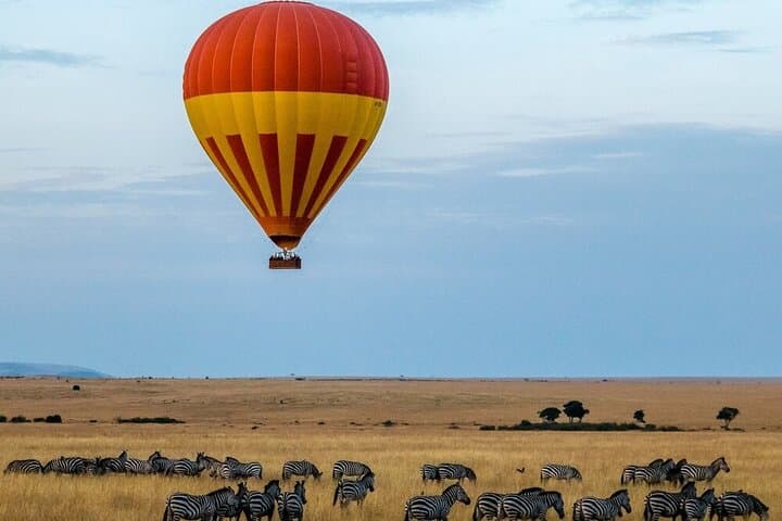 3-Day Maasai Mara Safari: Joining Tour from Nairobi photo 6
