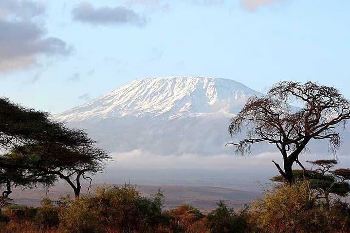 Amboseli 2-Day Safari: Elephants, Swamps and Kilimanjaro Views photo 3