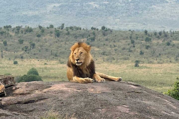 Amboseli 2-Day Safari: Elephants, Swamps and Kilimanjaro Views photo 6