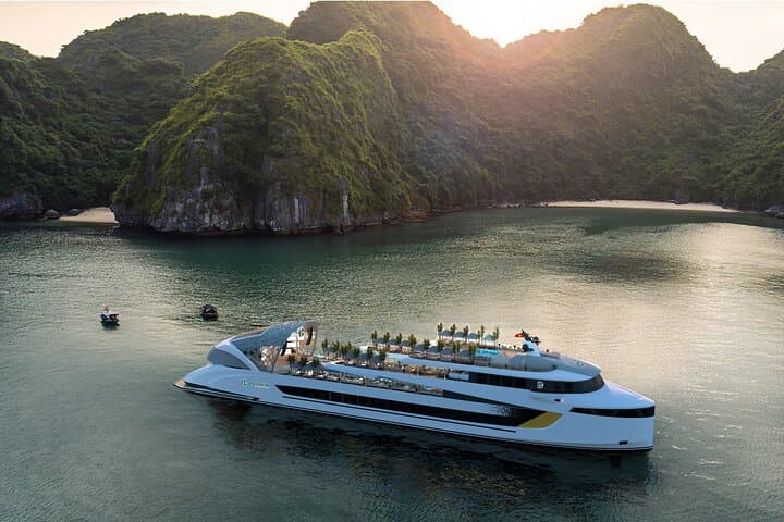 Halong Bay Dolphin Day Cruise: Luxury Day Trip with Pool, Kayaking & Caves photo 4