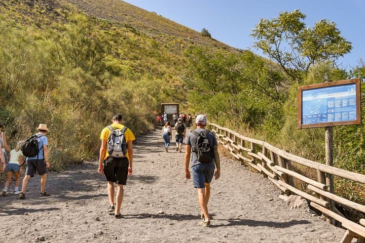 Pompeii & Mount Vesuvius Full-Day Guided Tour from Sorrento — Skip-the-Line photo 6