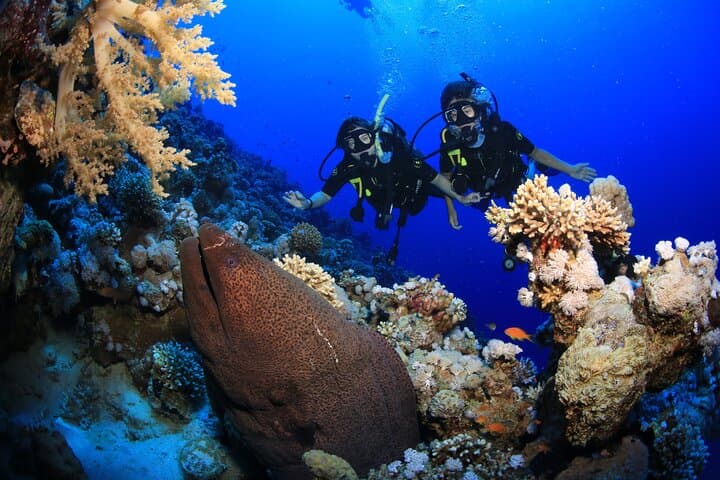 Red Sea 10-Dive Package: Boat & Shore Diving in Sharm el Sheikh