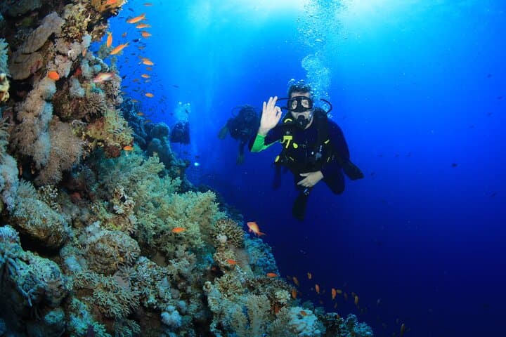 Red Sea 10-Dive Package: Boat & Shore Diving in Sharm el Sheikh photo 2
