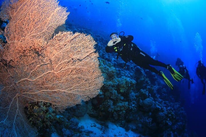 Red Sea 10-Dive Package: Boat & Shore Diving in Sharm el Sheikh photo 3