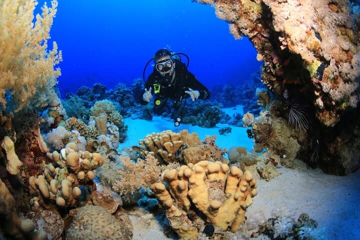 Red Sea 10-Dive Package: Boat & Shore Diving in Sharm el Sheikh photo 6