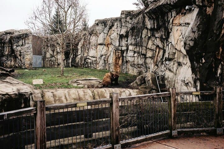 Skip the Line at Prague Zoo: Audio Guide & Private Transfer for a Smooth Wildlife Day photo 5