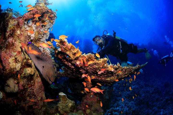Red Sea 8-Dive Package: Boat & Shore Dives from Sharm El Sheikh