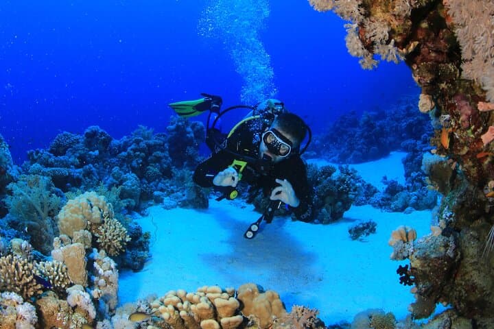 Red Sea 8-Dive Package: Boat & Shore Dives from Sharm El Sheikh photo 3