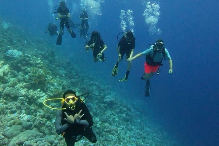 6 Dives in the Red Sea — Boat or Shore Package from Sharm el-Sheikh photo 5