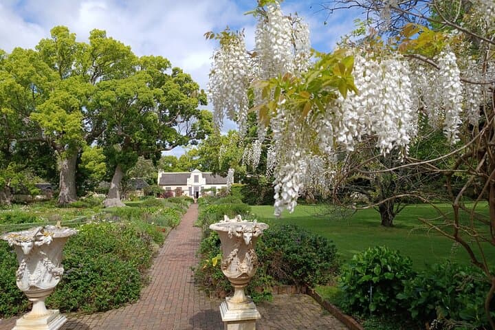 Art, Wine & Gardens Day Tour in Somerset West — Vergelegen & Lourensford