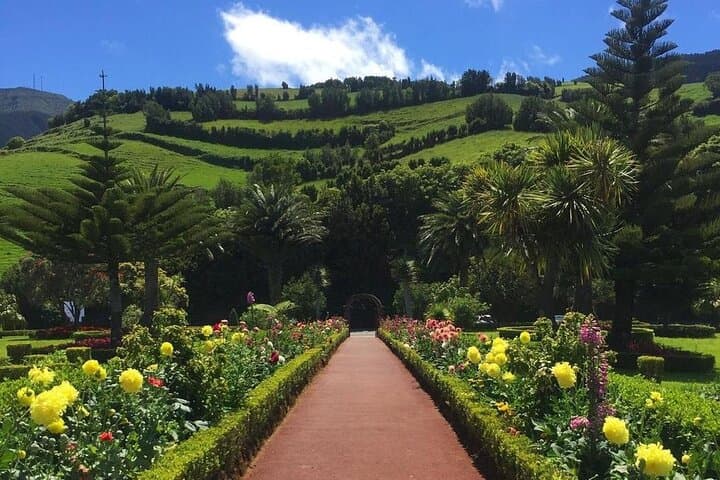 Northeast São Miguel Waterfalls & Viewpoints Guided Day Tour photo 2