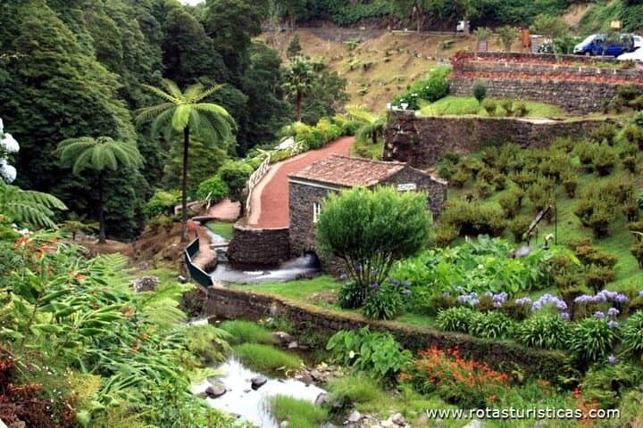 Northeast São Miguel Waterfalls & Viewpoints Guided Day Tour photo 6