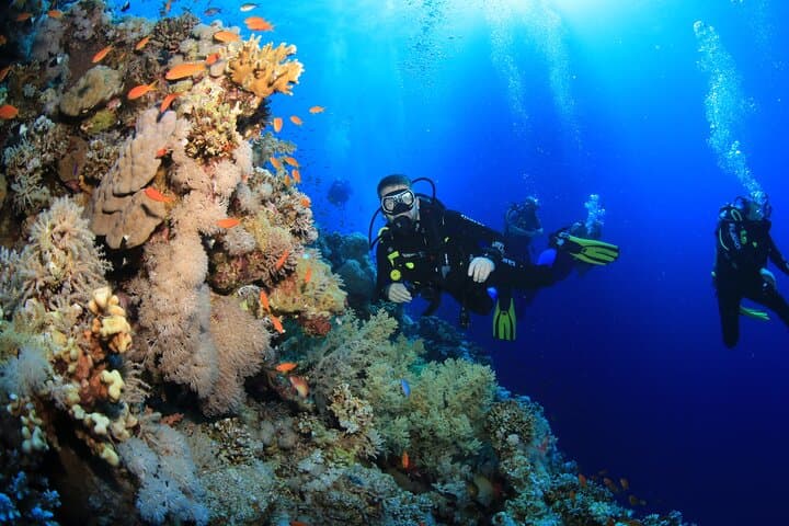 Red Sea 3-Dive Package: Boat or Shore Dives in Sharm el Sheikh photo 4