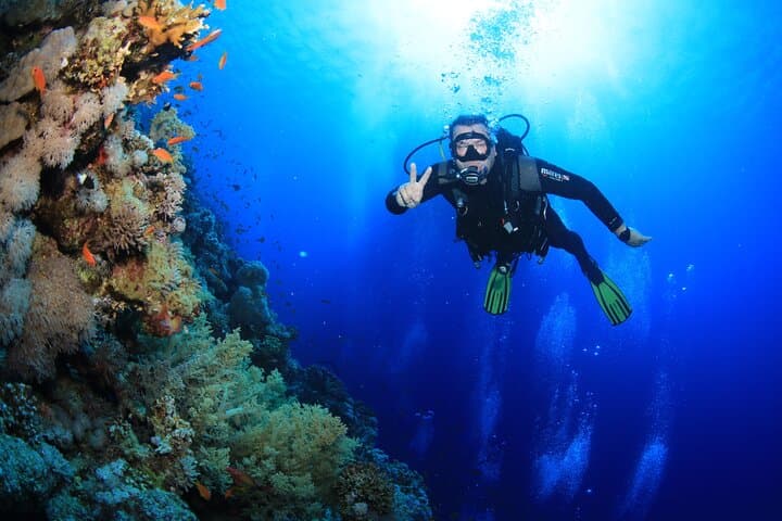 Red Sea 3-Dive Package: Boat or Shore Dives in Sharm el Sheikh photo 5