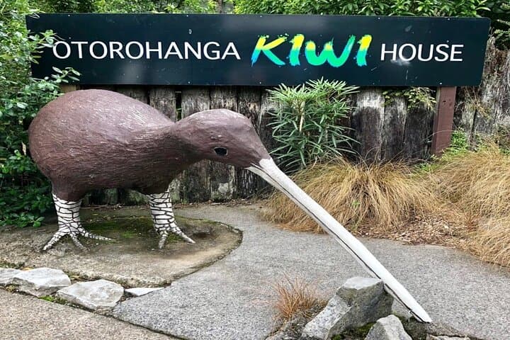 Hobbiton, Waitomo Caves & Kiwi House Day Trip from Auckland — Glowworms, Kiwi Encounters and Movie-Set Tours photo 4