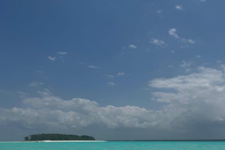 Sailing to Mnemba Atoll: Dhow Snorkel & Dolphin-Spotting Day Trip from Zanzibar photo 2