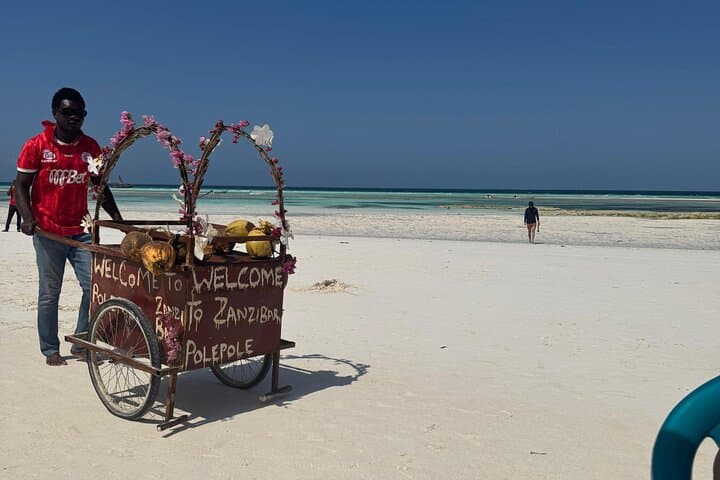 Sailing to Mnemba Atoll: Dhow Snorkel & Dolphin-Spotting Day Trip from Zanzibar photo 4