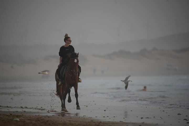 Essaouira 2-Hour Horseback Ride: Dunes, Beach Gallops & Ocean Views