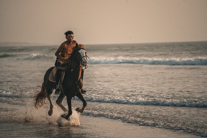 Essaouira 2-Hour Horseback Ride: Dunes, Beach Gallops & Ocean Views photo 3