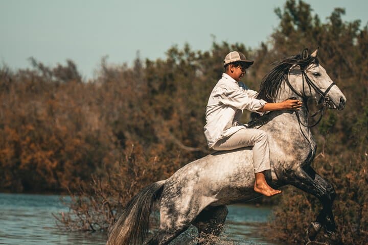 Essaouira 2-Hour Horseback Ride: Dunes, Beach Gallops & Ocean Views photo 6