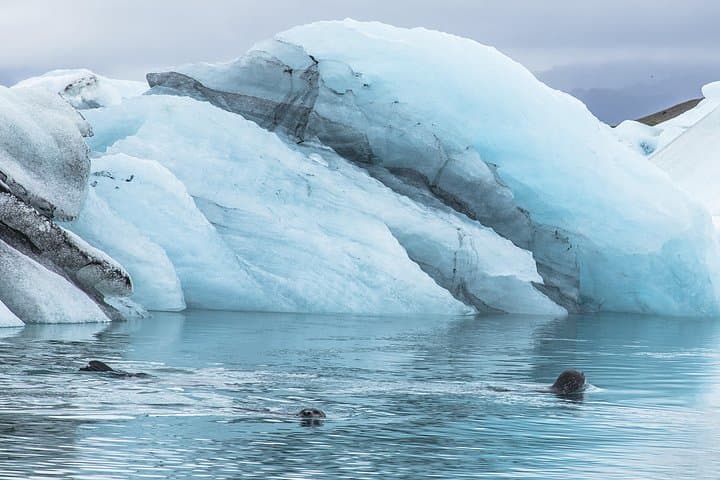 Jökulsárlón Glacier Lagoon Private Tour — South Coast Day Trip, Iceland photo 3