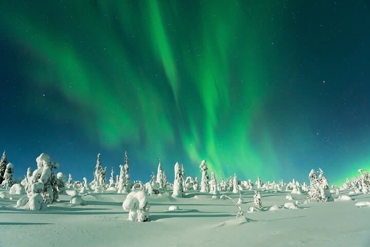 Royal Aurora Hunt: Private Northern Lights Chase from Rovaniemi photo 5