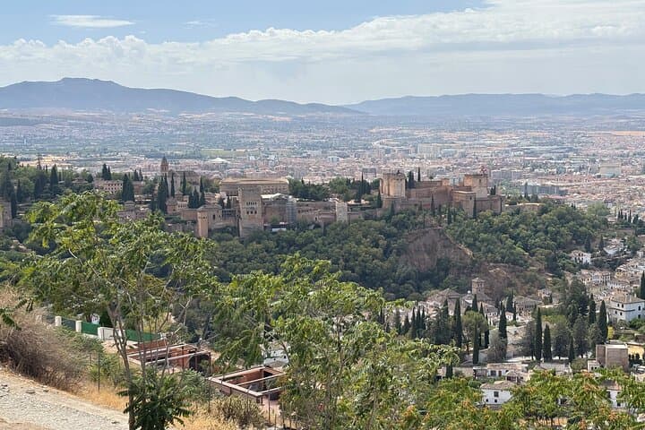 Granada Panoramic Alhambra and Albaicín Tour 6-hour Bus & Walk photo 4