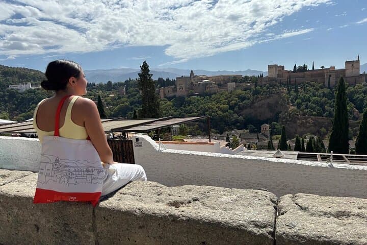 Granada Panoramic Alhambra and Albaicín Tour 6-hour Bus & Walk
