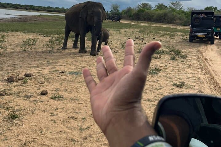 Yala Safari Day Tour: Private Jeep Wildlife Experience in Yala National Park photo 1