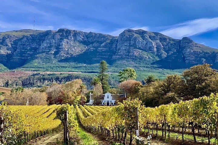 Table Mountain, Kirstenbosch & Constantia Vineyards: Full-Day Cape Town Nature and Wine Tour photo 3