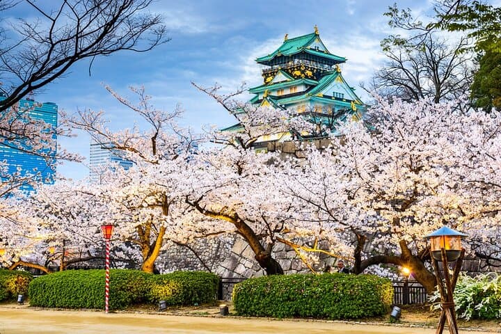 Osaka 3-Day City Pass: Harukas 300, Osaka Castle & Universal Studios photo 2
