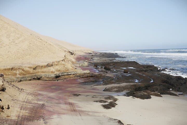 Sandwich Harbour 4x4 Tour - Where Dunes Meet the Atlantic photo 5