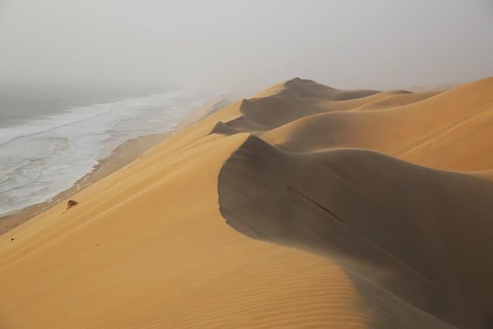 Sandwich Harbour 4x4 Tour - Where Dunes Meet the Atlantic photo 6