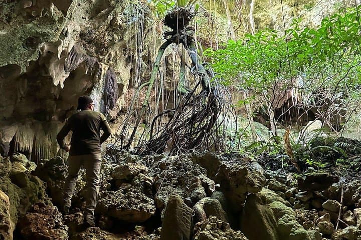 Hike Manantial de Guayaney: Moderate Day Trek to Springs, Hidden Cave & Playa La Esperanza photo 3
