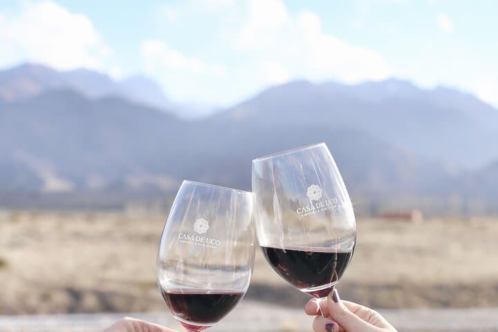 E‑Bike Gourmet Mendoza: Ride, Taste & Explore Luján de Cuyo Wineries photo 4