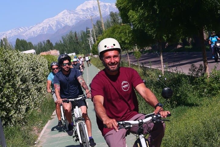 E‑Bike Gourmet Mendoza: Ride, Taste & Explore Luján de Cuyo Wineries photo 5