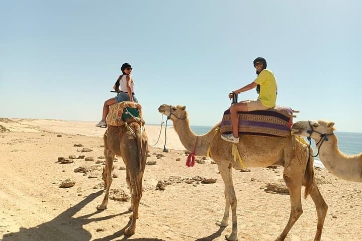 Dakhla Quad and Camel Ride: Desert & Lagoon Adventure Near Dakhla photo 2