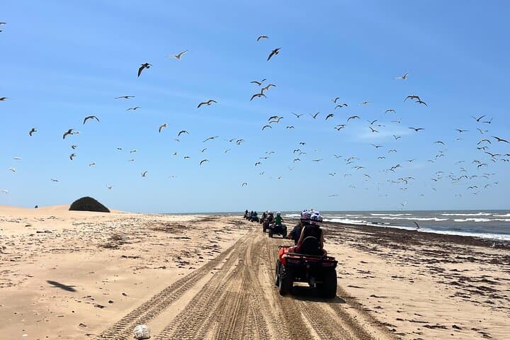 Dakhla Quad and Camel Ride: Desert & Lagoon Adventure Near Dakhla photo 3