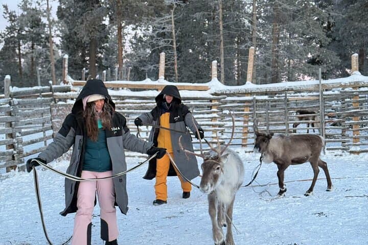 Authentic Arctic Reindeer Farm Visit and Snowshoeing near Levi