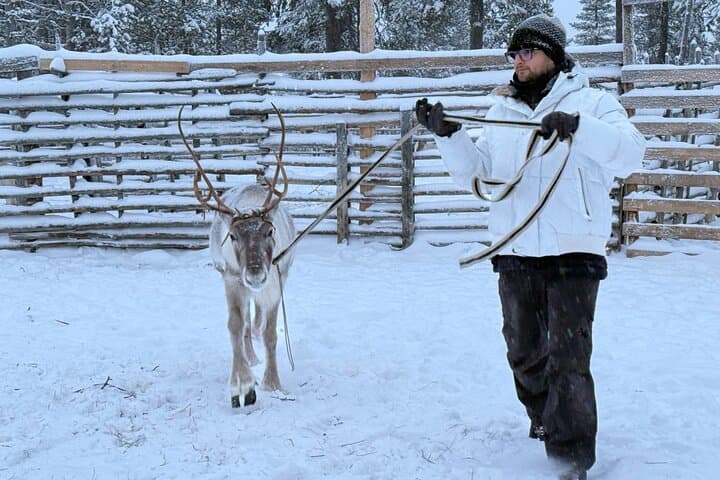 Reindeer Farm Visit & Ice Fishing near Levi: Day Experience with Lunch in Lapland photo 4