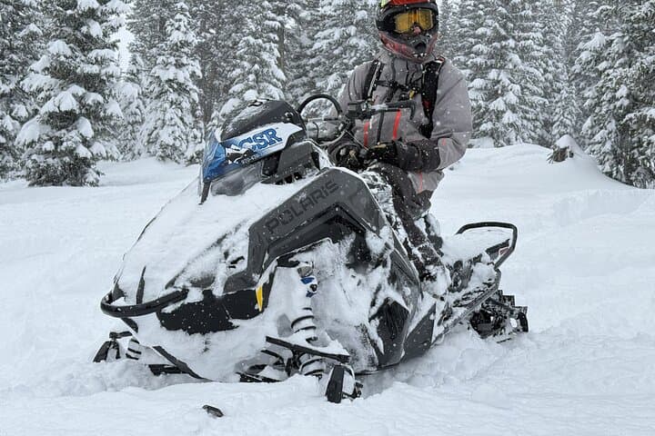 Private Beginner Snowmobile Backcountry Adventure in Steamboat Springs photo 6