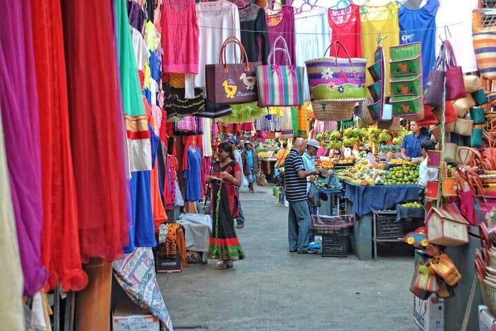 Tropical North Island Tours: Port Louis Market, Pamplemousses Gardens & Pereybere Beach photo 3