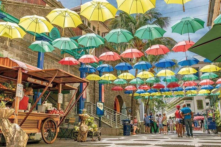 Tropical North Island Tours: Port Louis Market, Pamplemousses Gardens & Pereybere Beach