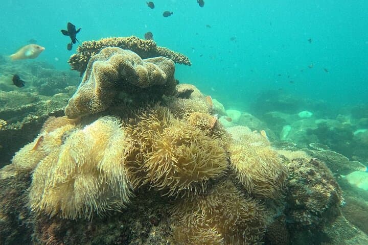 Phu Quoc Speedboat Island Hopping: Snorkel the An Thoi Islets with Lunch photo 4