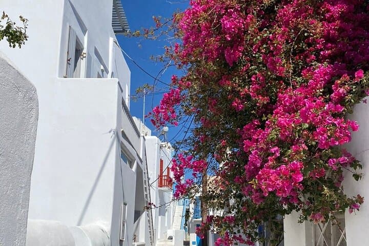 Mykonos Highlights Tour: Lighthouse, Beaches & Chora Walking Route photo 6