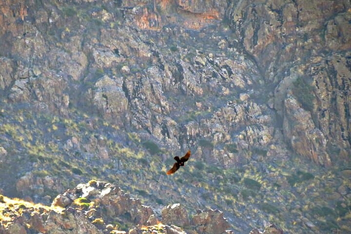 Imlil Day Trip & Agdal Iedeln Summit Hike from Marrakech photo 6