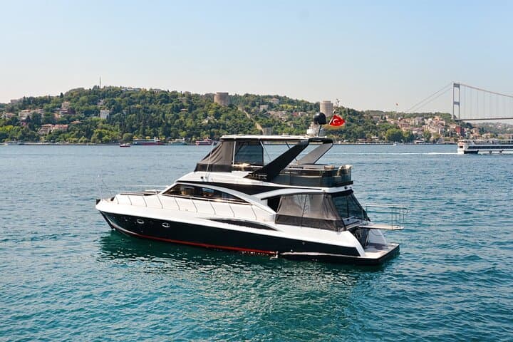 Private Yacht Cruise on the Bosphorus: 2-Hour Luxury Tour in Istanbul photo 1
