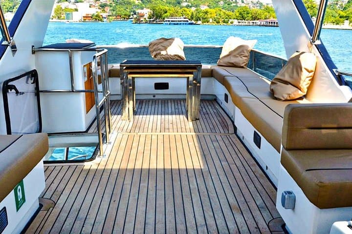 Private Yacht Cruise on the Bosphorus: 2-Hour Luxury Tour in Istanbul photo 2