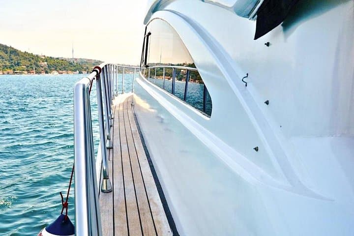 Private Yacht Cruise on the Bosphorus: 2-Hour Luxury Tour in Istanbul photo 4