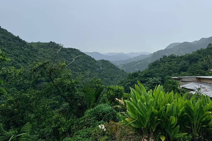 Sueños de Cafe: Jayuya Coffee Farm Tour — Roast, Grind & Brew in Puerto Rico's Central Mountains photo 3